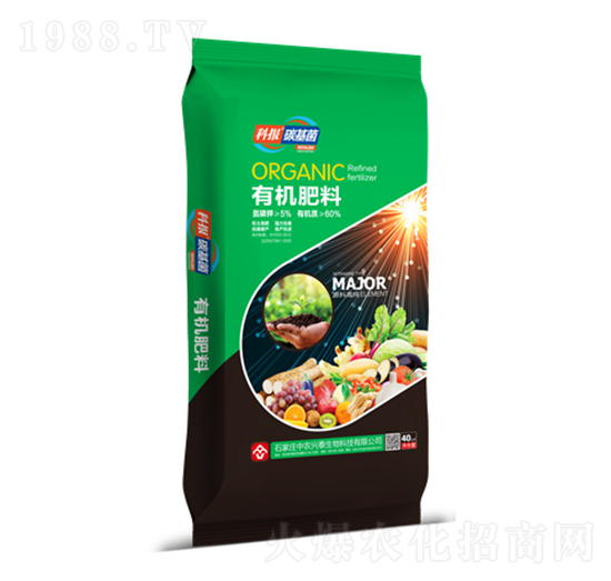 �ƈ�(b��o)̼�����ЙC(j��)��-���r(n��ng)�d̩