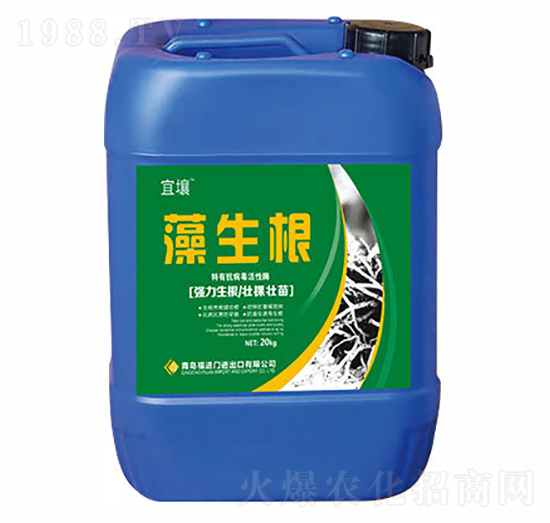 ������-����-�t������