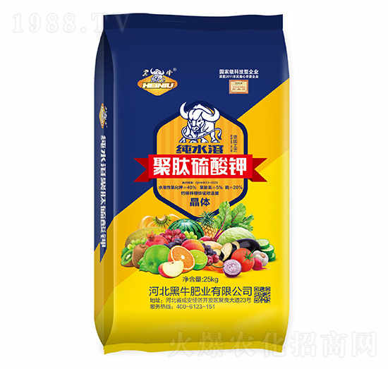 ���������-��ţ�ʘI(y��)