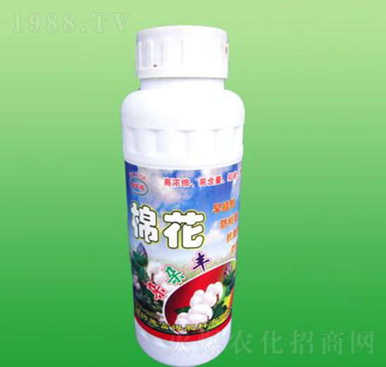 �޻�����S-ʩ����