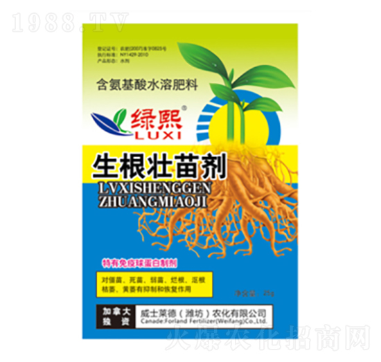 �������焩�����b��-�G��-��ʿ�R��