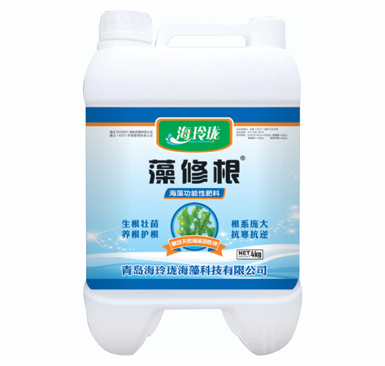 ���޸�-���ᭇ