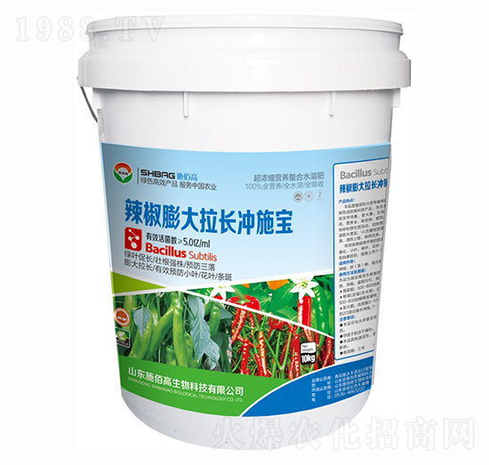 辣椒膨大拉長沖施寶-施佰高