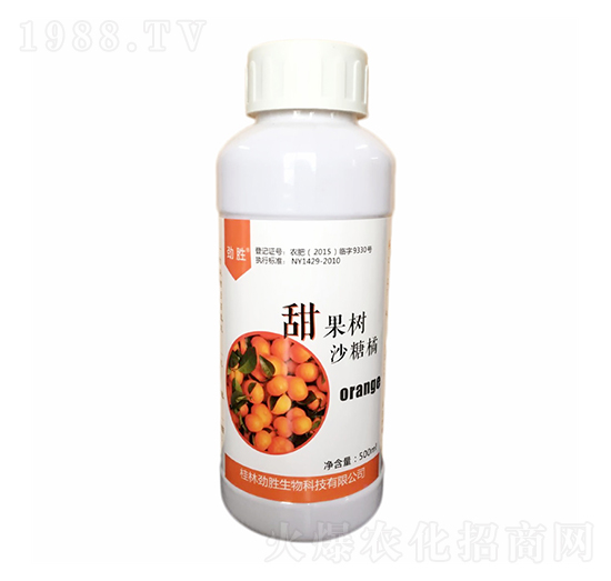 500mlɳ���������-���_����