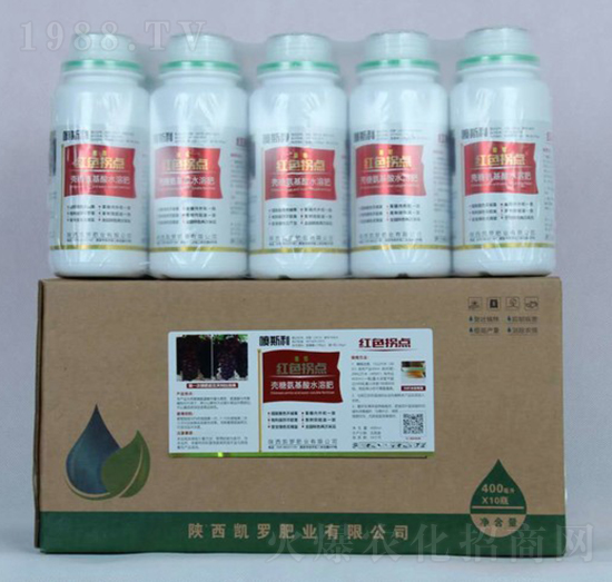 �tɫ���c-�P�_�ʘI(y��)