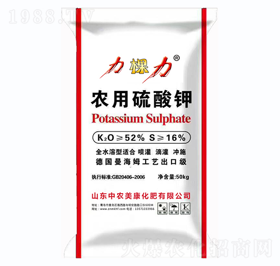 �r�������-������-���r����