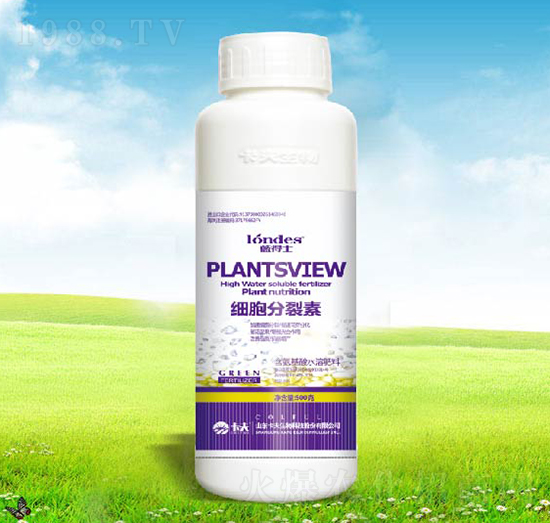 500�˼���������-������