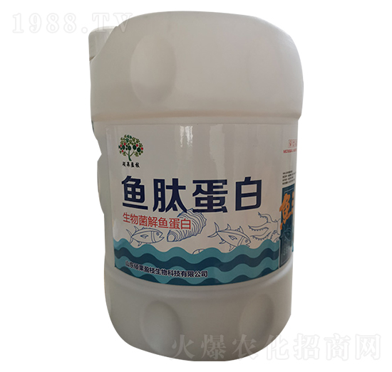 �~�ĵ���-�T��ӯ֦