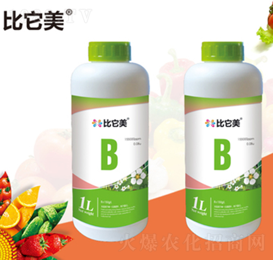 ���������-���{�r��