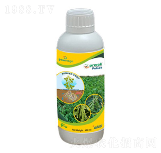 Prerak Pulses-�ָ���