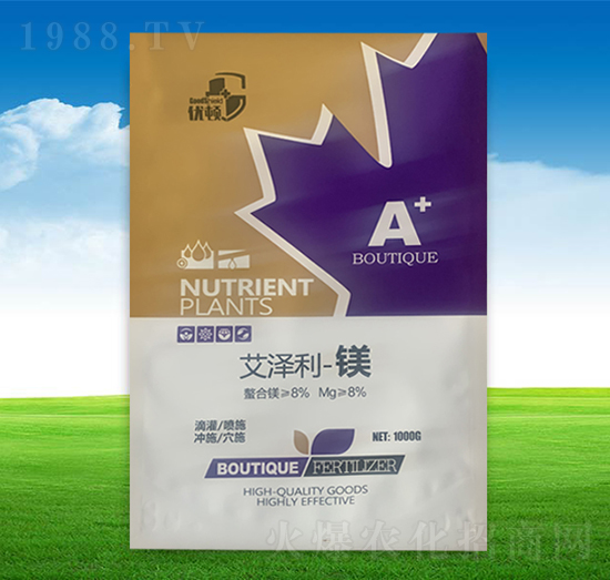 �������V-�μѸ�