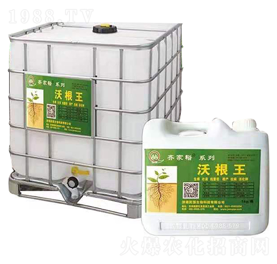 沃根王-齊家裕-民強生物