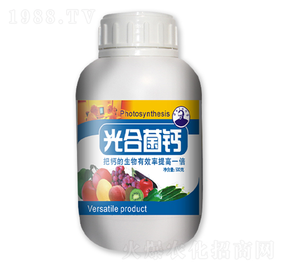 ��Ͼ��}-��������