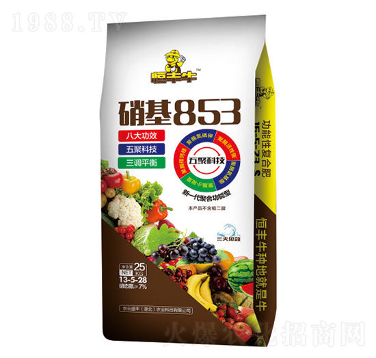 ����853���ܷ�13-5-28-���Sţ-�P�����d