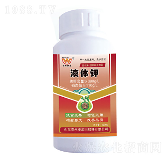 Һ�w�-�������