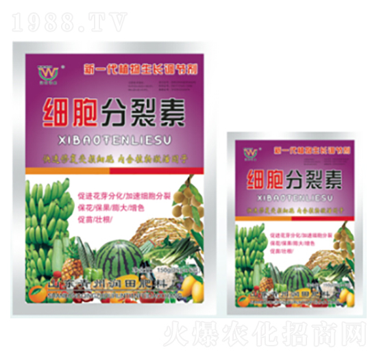 ������-�������