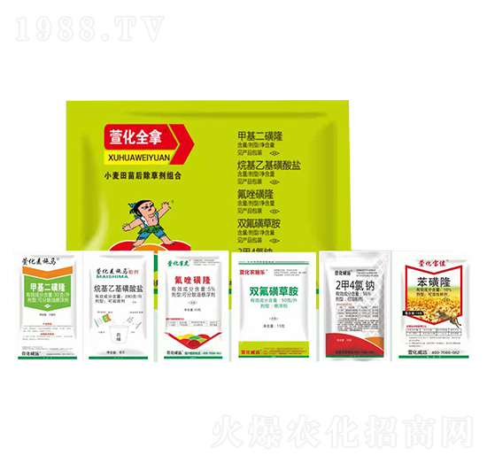 С���������݄��M���ײ�-�滯ȫ��-�滯���h