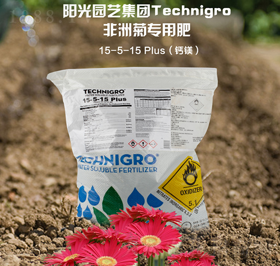 ���޾Ռ����}�V��5-5-15-�(y��ng)���ǻ�