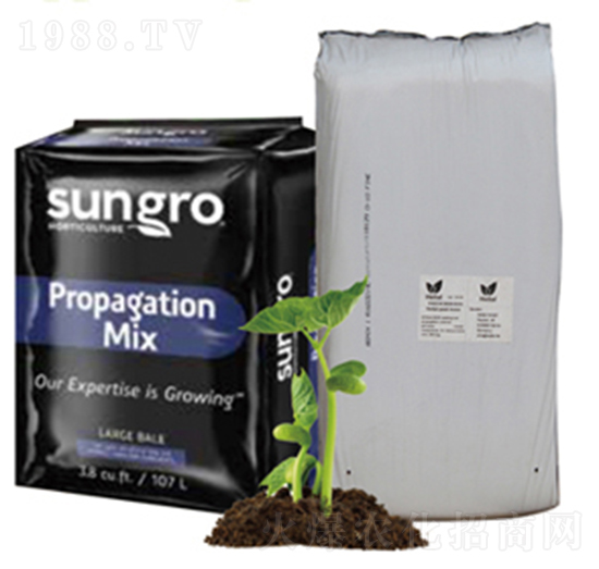 ���|��̼-ꖹ��ǻ�