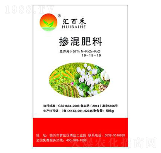 �������19-19-19-���ٺ�