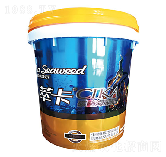 ̼ø�����-�Ϳ�-���S��