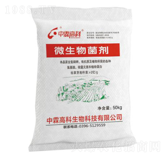 ΢�������-���ظ߿�