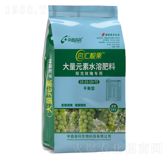 �(y��ng)��õ�匣(zhu��n)��ƽ���19-19-19+TE-���R�n��-���ظ߿�