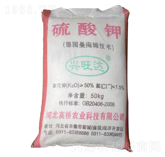 50%�w�������-�ߘ��r(n��ng)�I(y��)