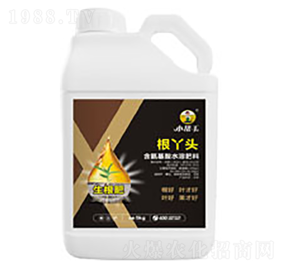 ��Ѿ�^-����������