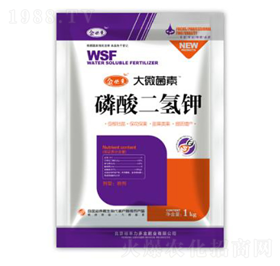 ��������-��΢����-��؁�����