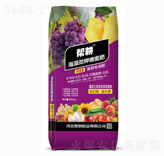 ���������۷�-�͸��ʘI(y��)