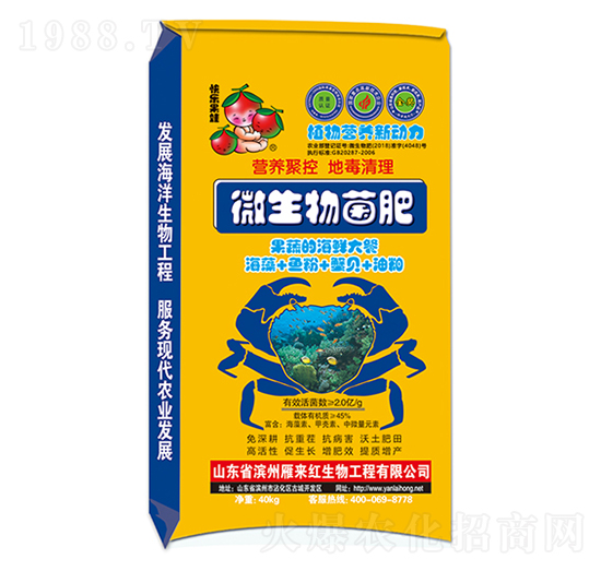 微生物菌肥-雁來紅