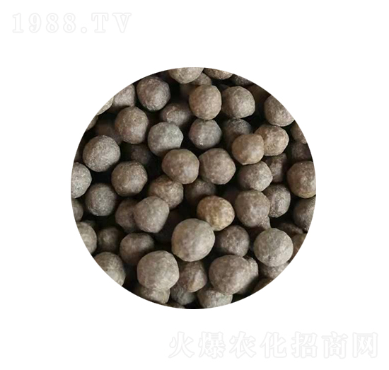 ���}�V⛷�-�ʠ�Ԫ