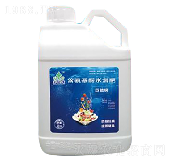 ABT�����ľ����}-���ȵ�