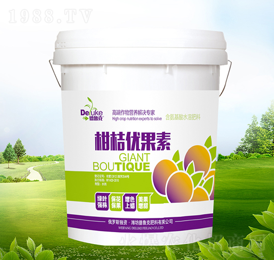 �̽ۃ�(y��u)����-������