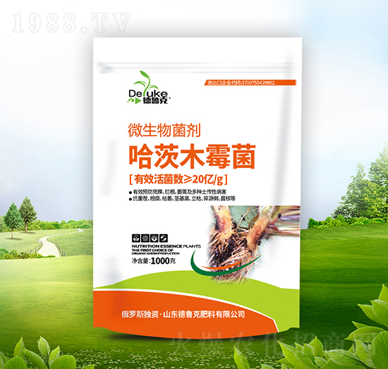 ����ľù����΢���������-������