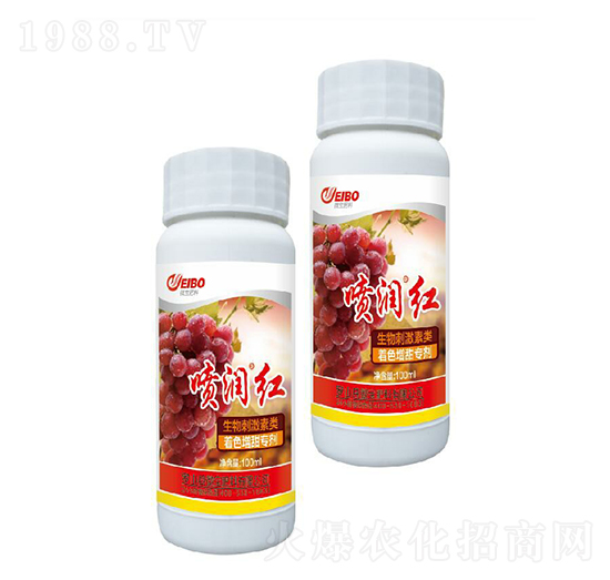 ����̼����ɫ�������Ä�-����(r��n)�t-΢������