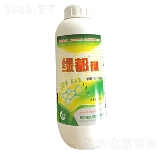 1000g�G����-�G��