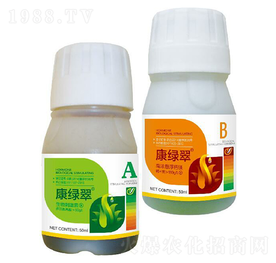 ���G��A+B-΢������