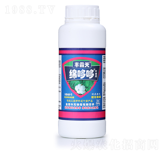 �S����-�d�߶�-�����S