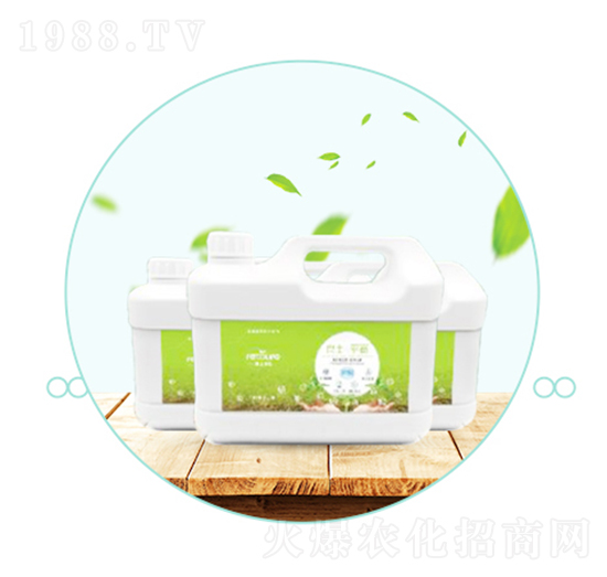 ������ƽ��-��������