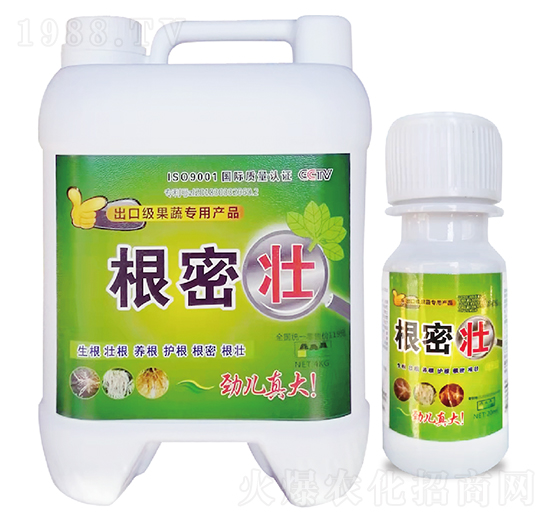 ���܉�-�̎��r(n��ng)�I(y��)