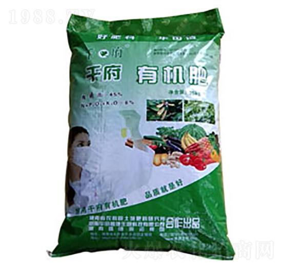 �ЙC(j��)��-�A��ʢ��