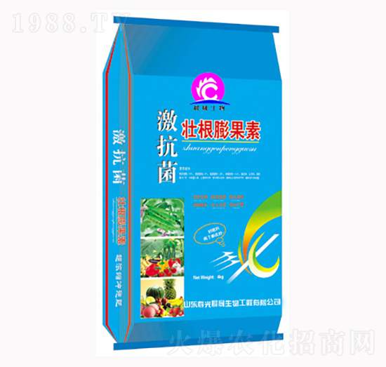 �������Ѹ������-��������