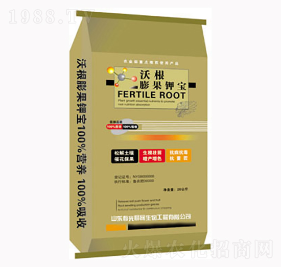 �ָ����⛌�-��������