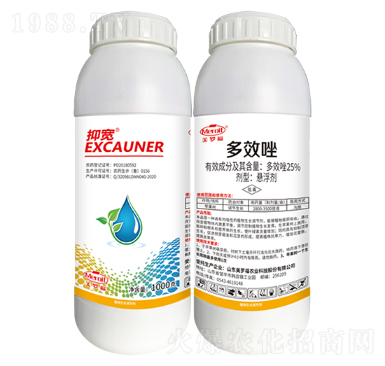 25%��Ч��-�֌�-�����m�r�I(y��)