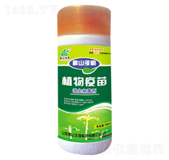 ΢�������-ֲ������-��ɽ����