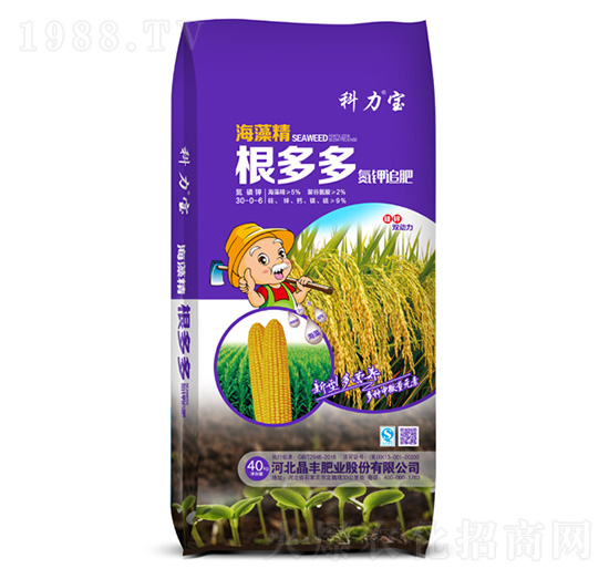 ����൪�׷��-���S�ʘI(y��)