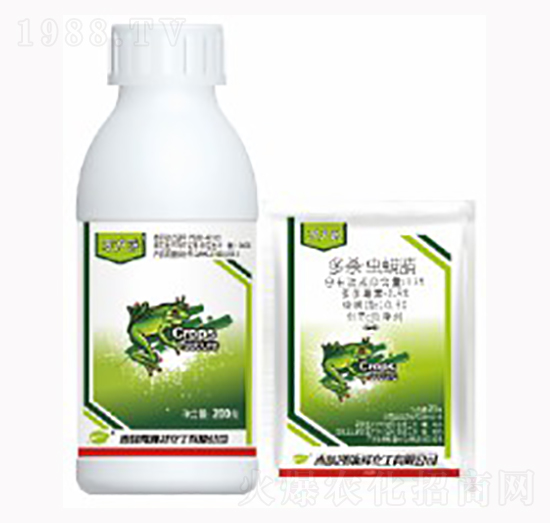 13%�������x����-�f����-������