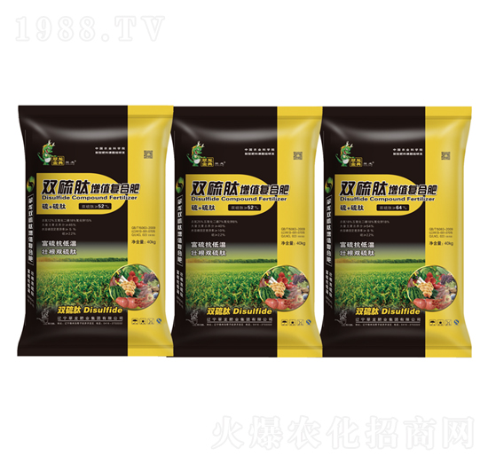 �p������ֵ�ͺϷ�-�����ʘI(y��)